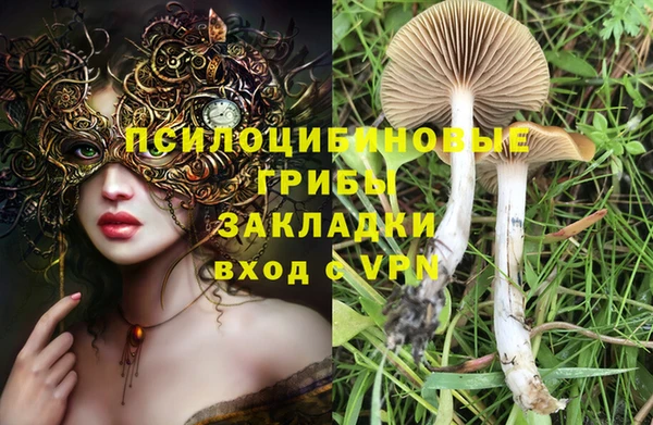 соль ск Дмитриев