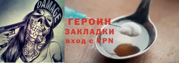 соль ск Дмитриев