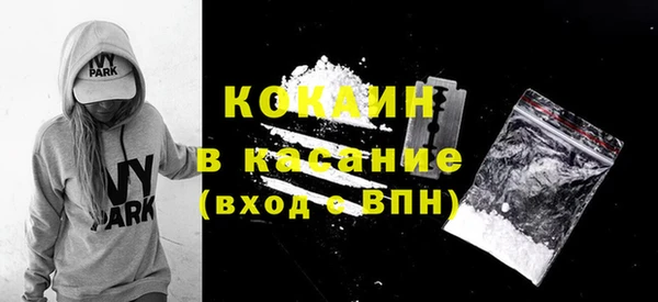 соль ск Дмитриев