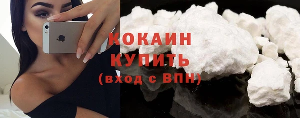 соль ск Дмитриев
