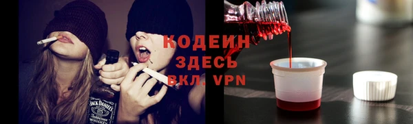 соль ск Дмитриев