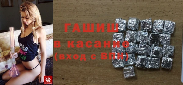 соль ск Дмитриев