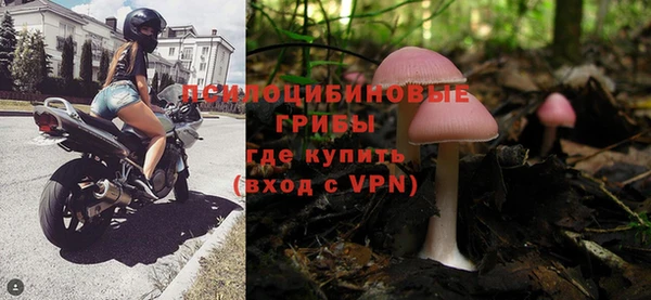 спиды Дмитров