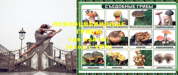 соль ск Дмитриев