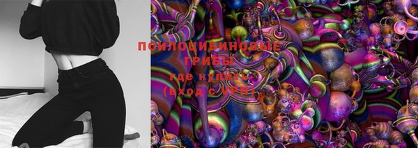 спиды Дмитров