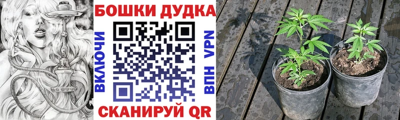 Купить  Мосальск  Каннабис гибрид 